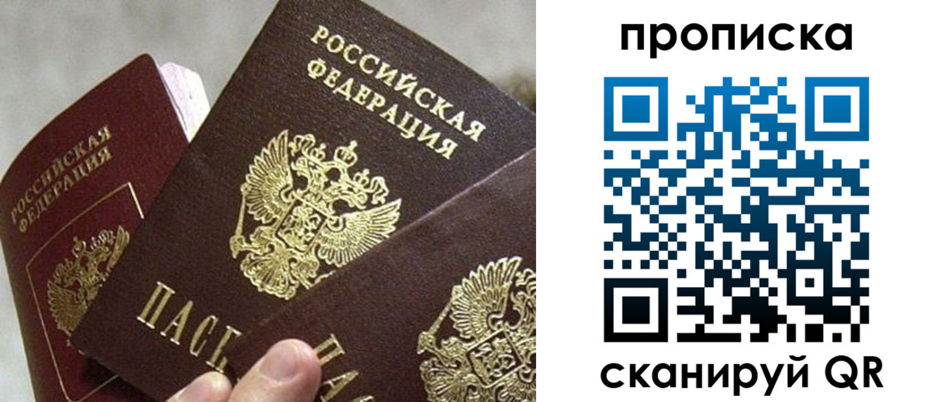 прописка 2025 в Новомосковске